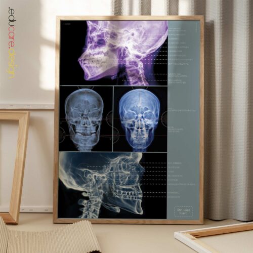 Anatomie des Kiefers und des Gaumenfortsatzes Anatomie-Chart für Praxen und Kliniken Anatomie des Kiefers und des Gaumenfortsatzes Anatomie-Chart für Praxen und Kliniken